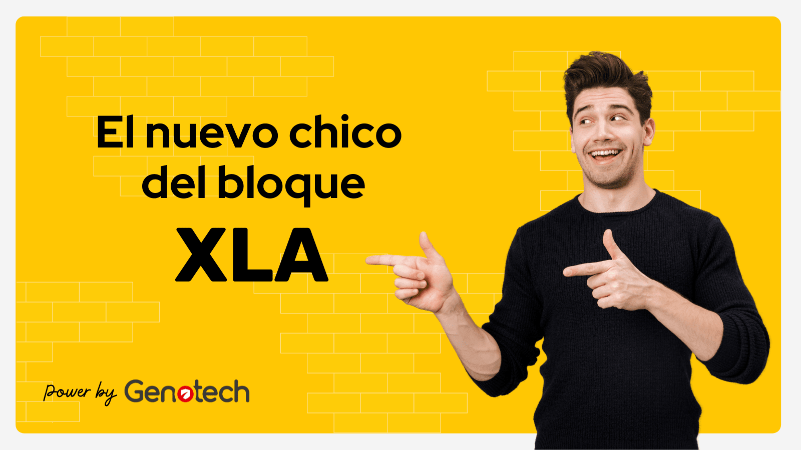 XLA para ITSM | Genotech